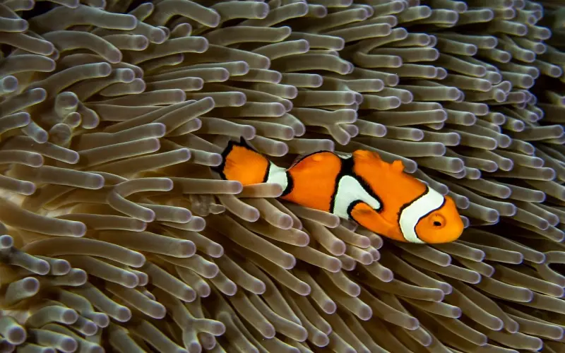 两地分居该如何维系感情