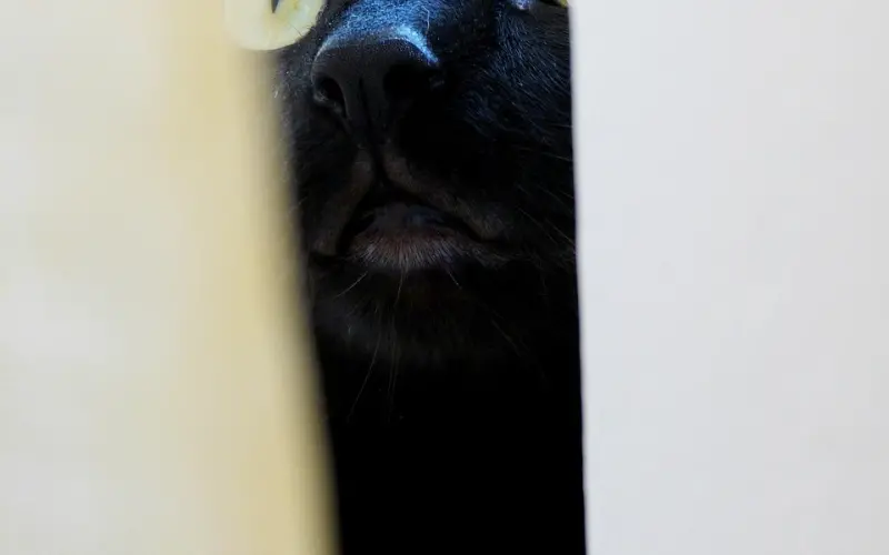 如何让前女友重新爱上我