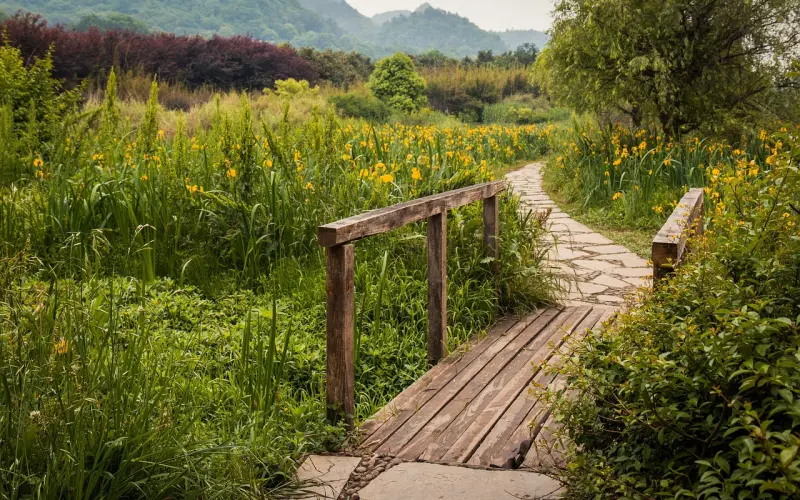 如何让别人，忍不住地喜欢你？