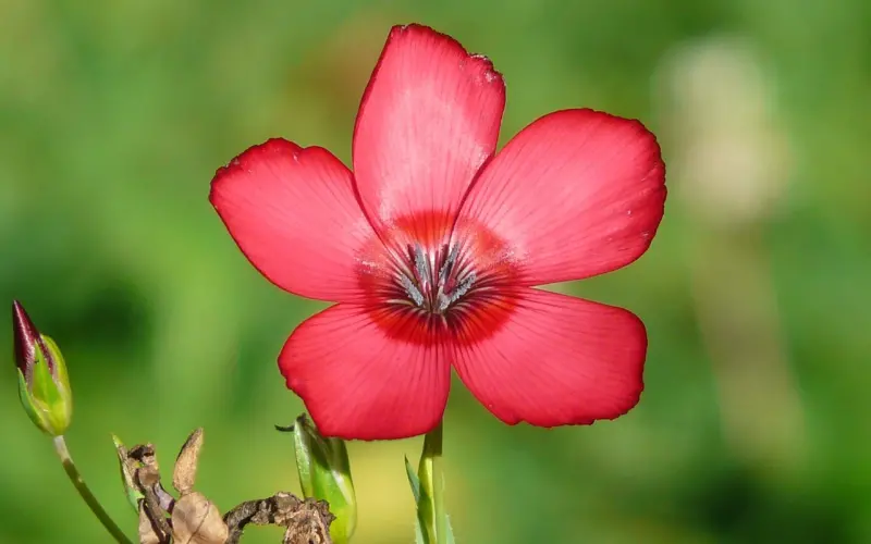 如何让对方心甘情愿和你复合