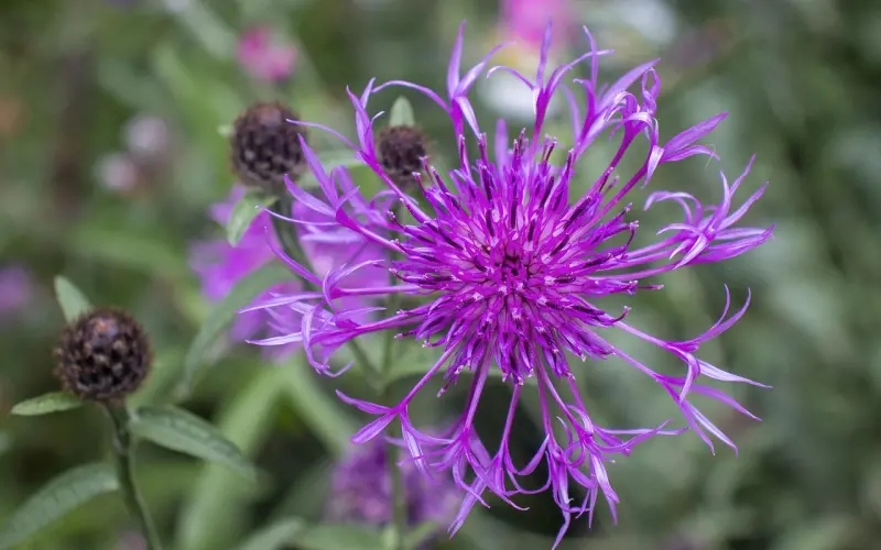 以不变应万变，如何让你的前任想要主动联系你？