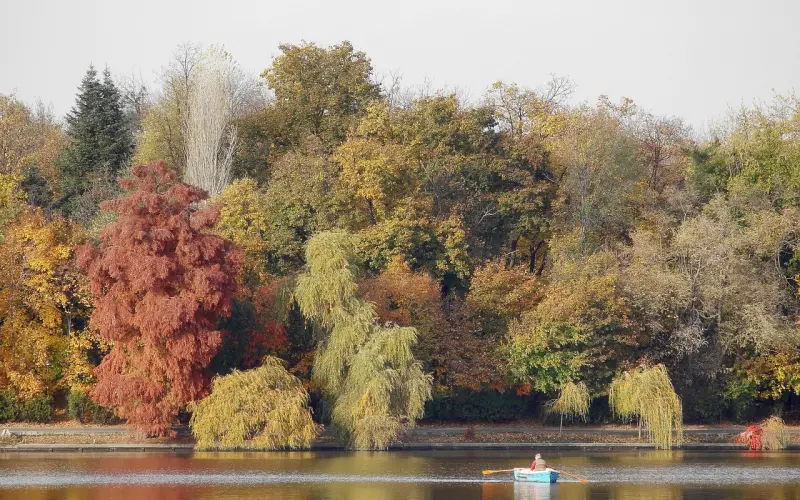 如何让自己成为既霸道又很暖的暖男
