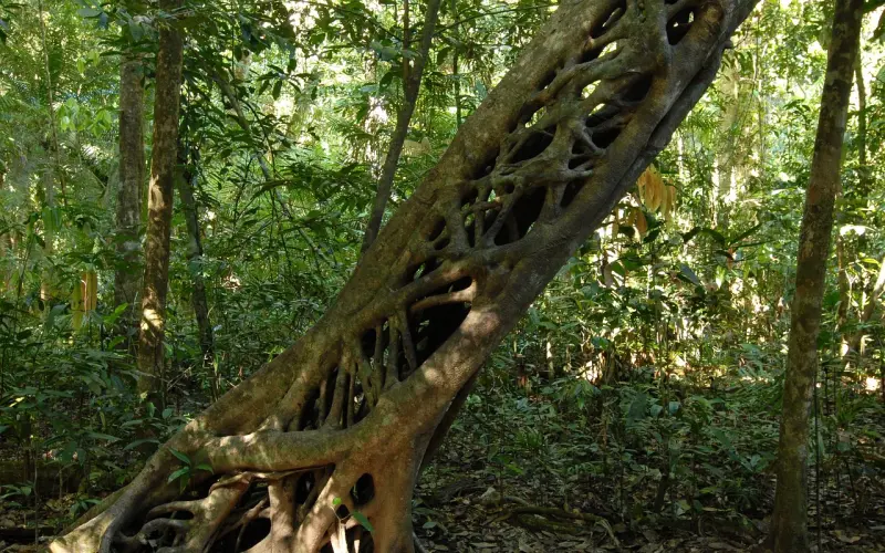 如何把“出轨”扼杀在摇篮中