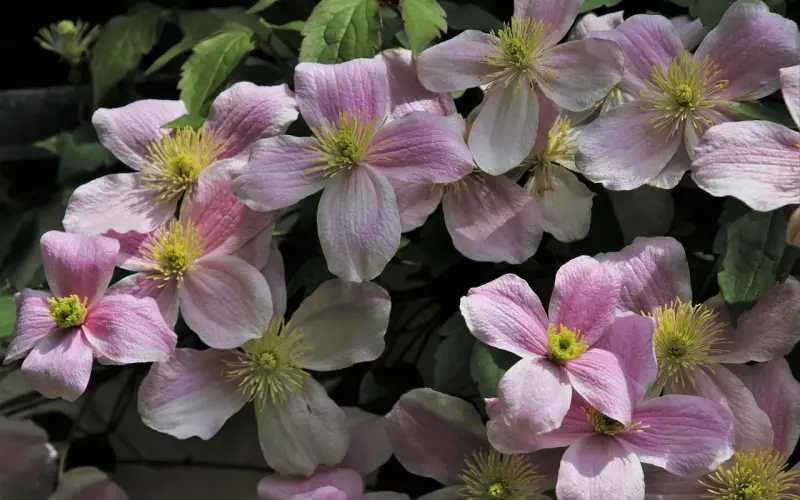 如何劝退小三？情感导师教你5个实用的劝退技巧