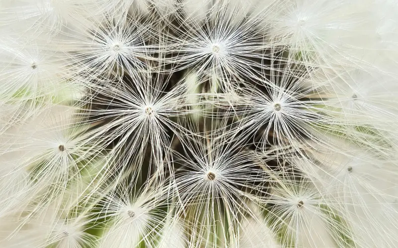 原生家庭的烂牌，如何打出王炸？