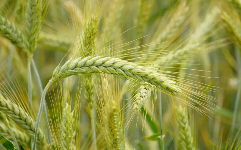 保卫婚姻之如何让小三知难而退