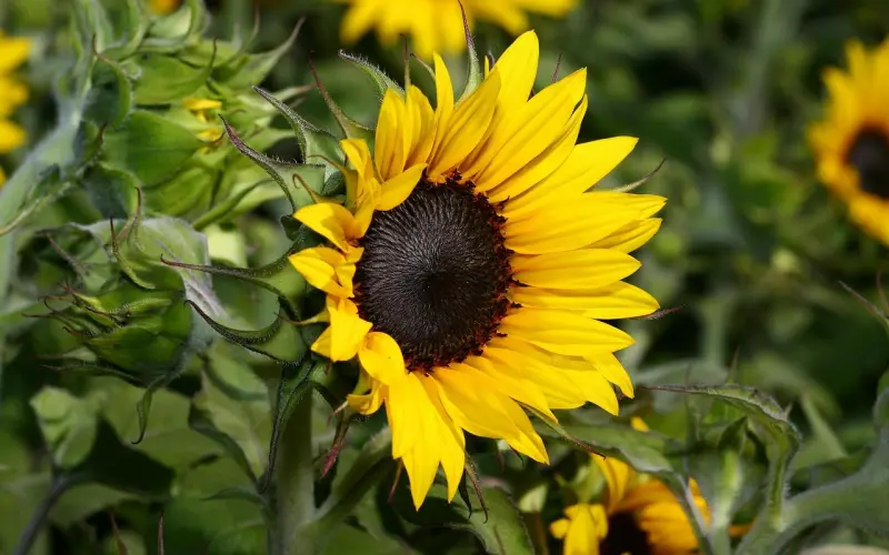 如何快速辨别渣男？这是我听过最好的答案