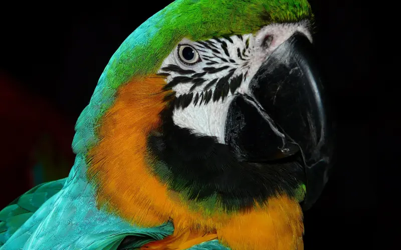 情侣吵架后该怎么和好