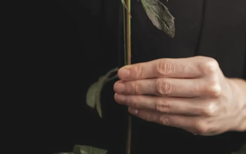 分手后怎么挽回，花镇情感教你挽回秘籍