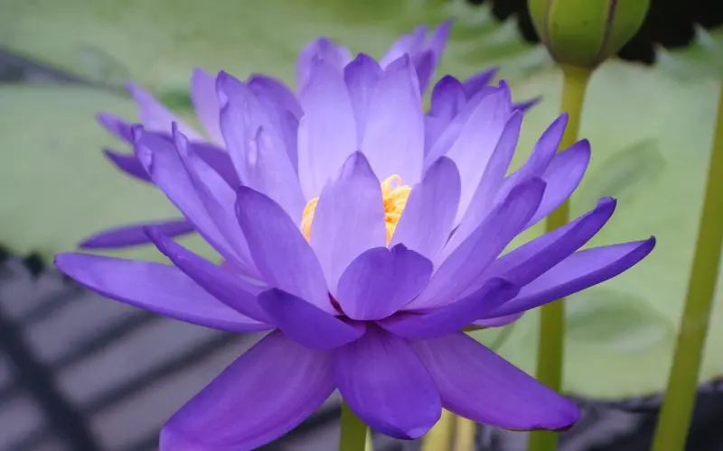 谈婚论嫁谈崩了怎么挽回