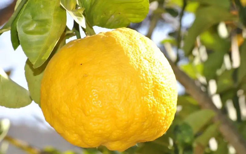 触碰底线了该怎么挽回