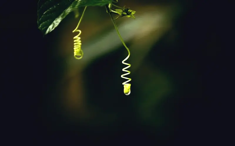 安全感太强导致分手该如何挽回？