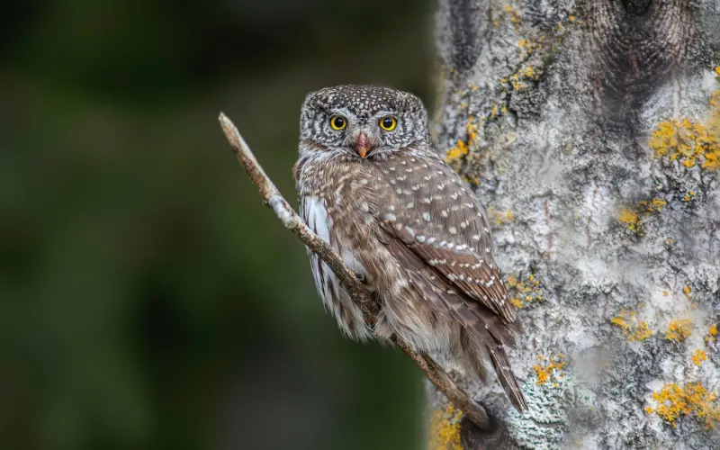 女生对男生彻底失望了咋挽回  可以从4个方面入手