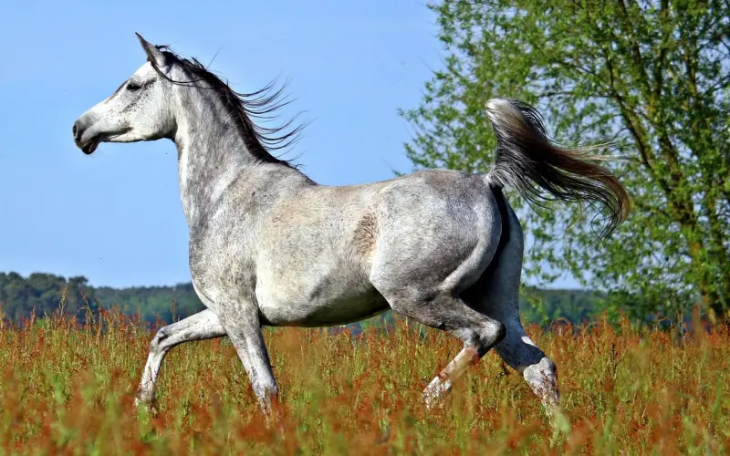 负面认知型分手应该如何挽回？