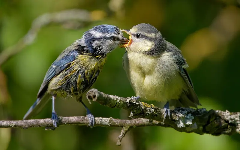 伤了别人自尊怎么挽回
