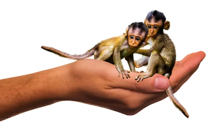 老公出轨了怎么挽回感情： 对付出轨老公的狠招，分离小三