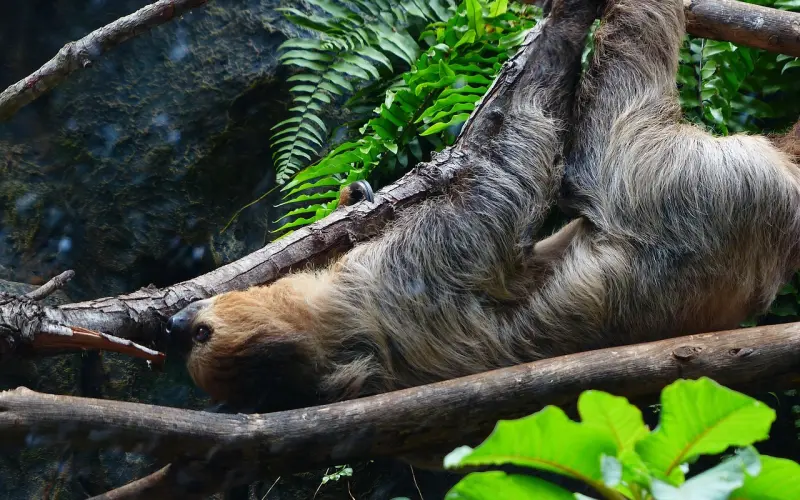 女朋友说性格不合怎么挽回