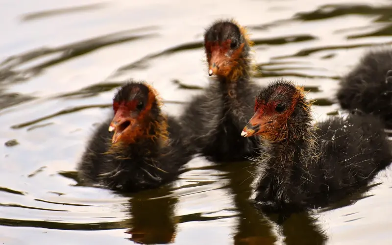 伤了男人的自尊怎么挽回