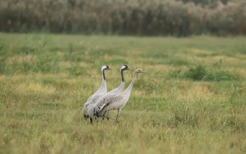 伤了男人的自尊怎么挽回