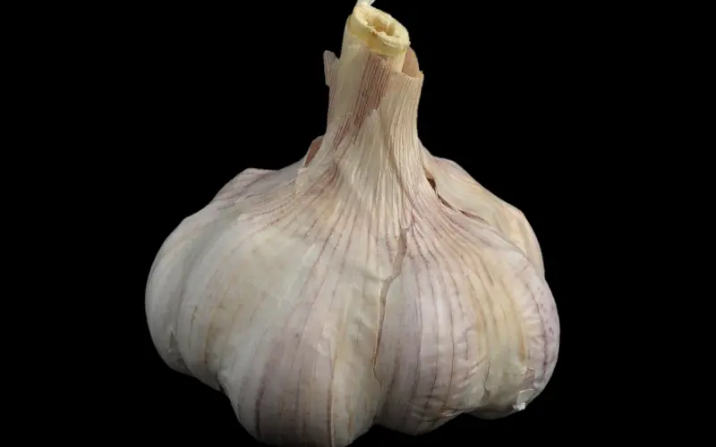 吵架了怎么挽回他的心态