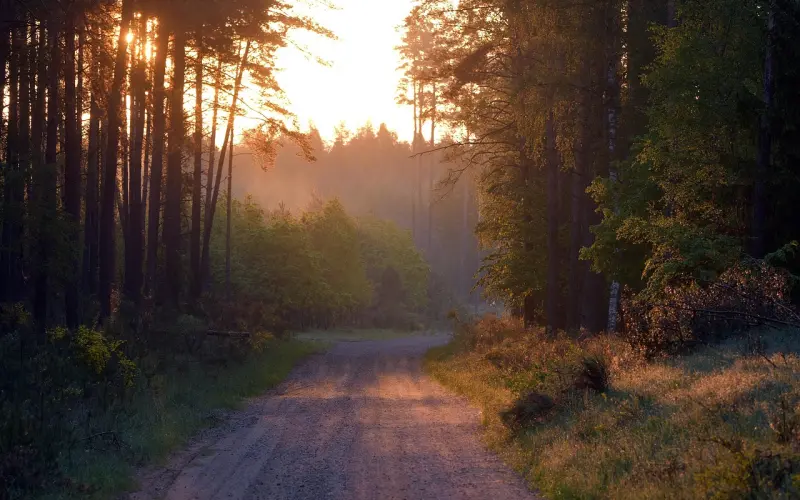 分手后挽回爱情的方法