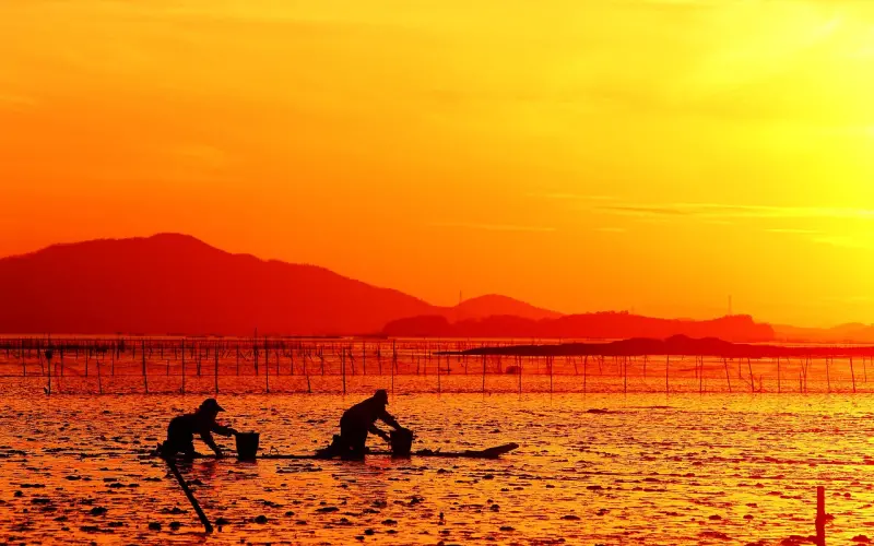 怎样挽回婚姻？做好这几点，让老公准时回家！