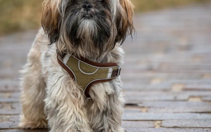 如何挽回婚姻，教你怎样挽回老公的心，聪明的女人必知的应对方法