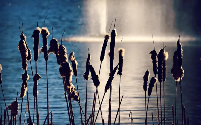 如何挽回一段即将破裂的婚姻