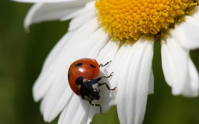 如何挽回一段感情？做好这7点，任何情感危机都能化解！