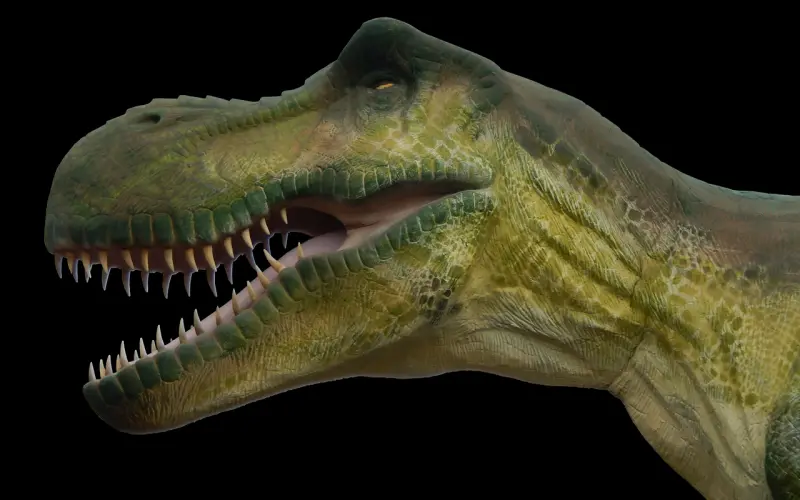 如何挽留一段感情，如何挽回死心的女友t