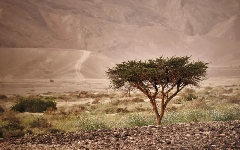 如何挽回一段感情？5个方法让他回心转意