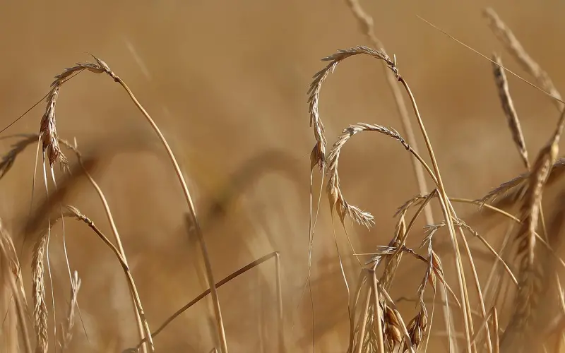 如何挽回爱情？挽留女友的心？坦然面对女友，不作纠缠