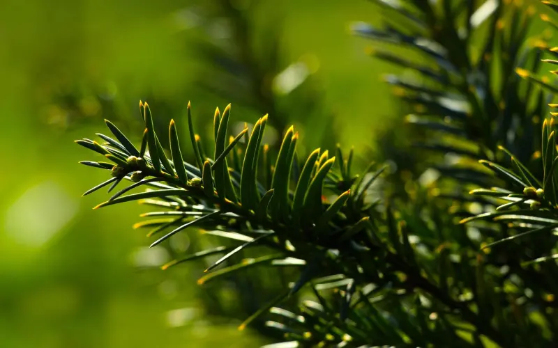 爱情如何挽回，学会这几招轻松搞定