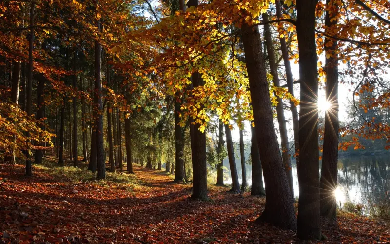 国庆节期间应该如何挽回你的爱情？