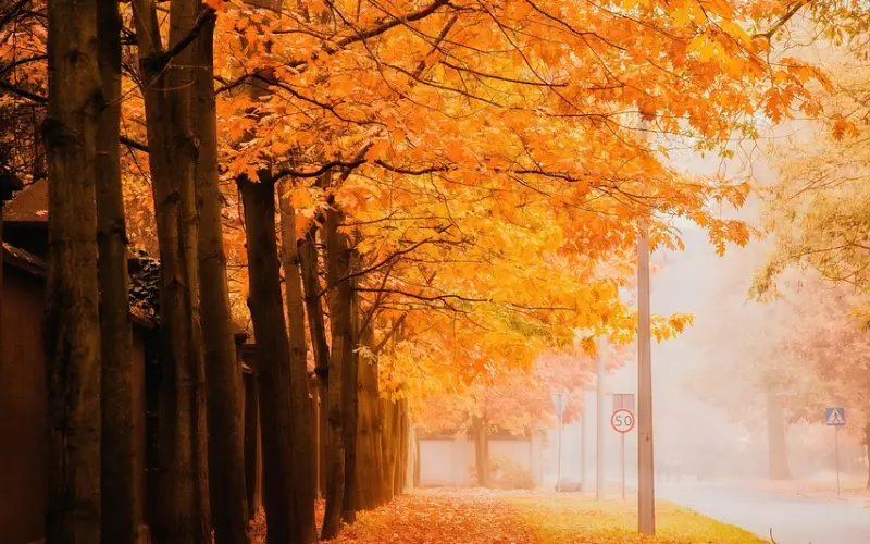 挽回婚姻的方法，老公有外遇怎么办？教你4个方法有效挽回