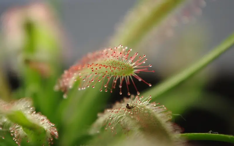 如何通过微信看透一个人？