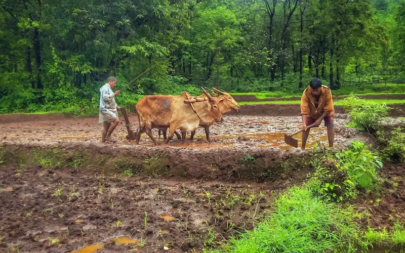 如何发信息暗示想挽回？