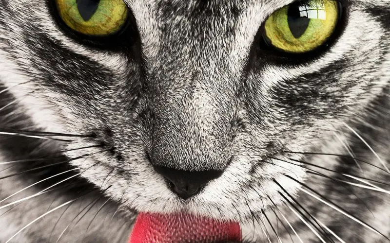 在不知对方兴趣的前期下，如何开启聊天