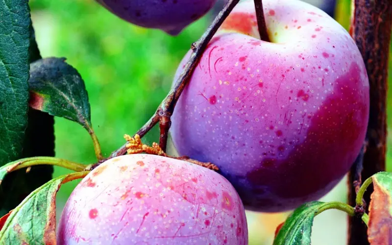 如何搭讪和自己不熟的女同事