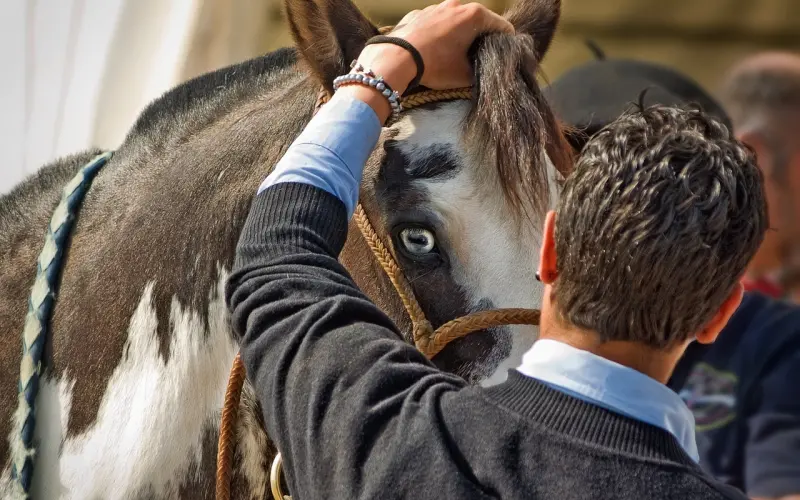 如何判断一个男人是否爱你？