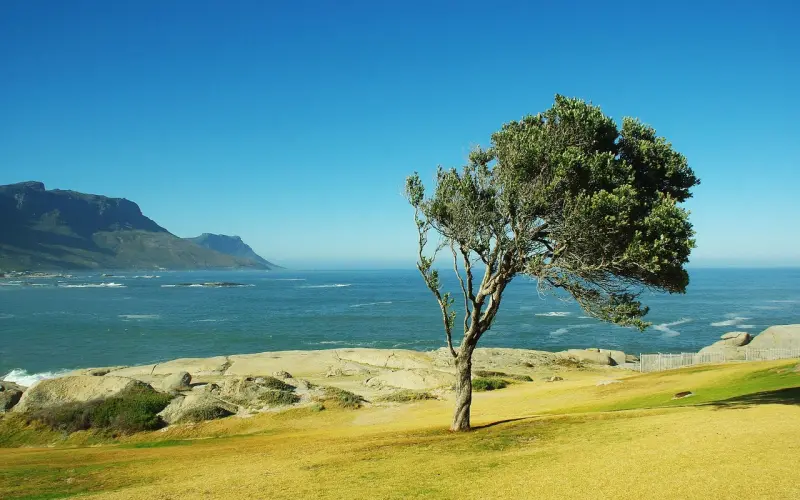 怎么把女朋友折磨死？这是我见过最可怕的男生套路！