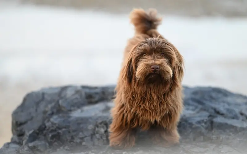 如何调教内向没有情调的伴侣？