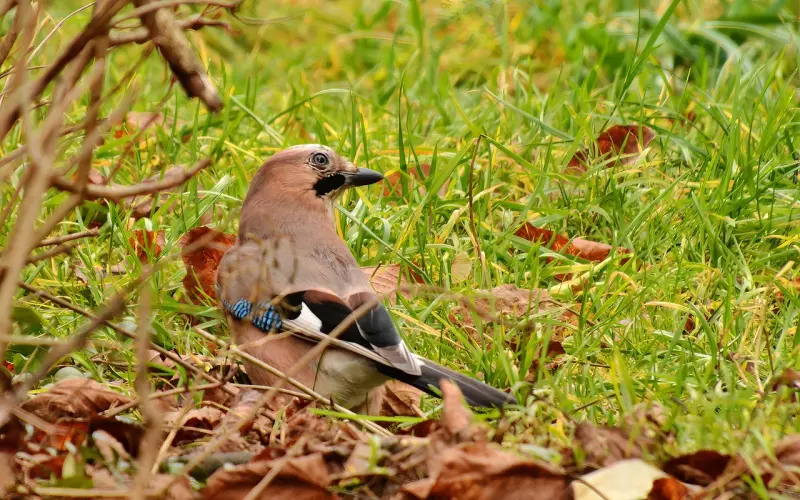 如何培养“老王”，让你的择偶更有选择权？