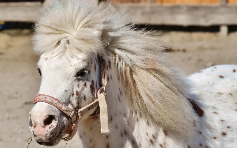 如何利用七夕情人节更好的挽回对方