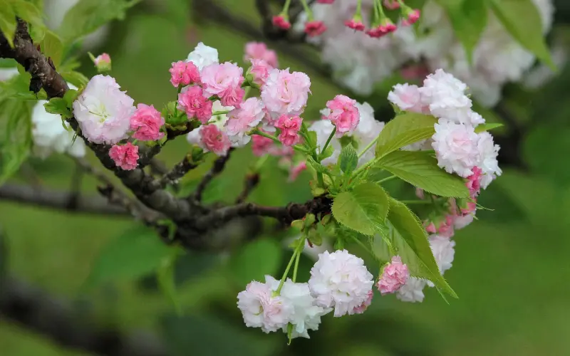 如何用幽默挽回老公的心，让婚姻恢复活力