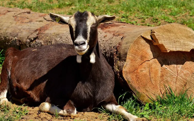分手后一段时间没联系，如何利用情人节挽回前男友