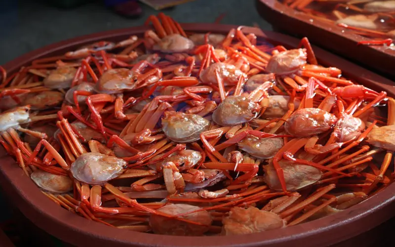 怎么挽回巨蟹座男友，巨蟹座男生喜欢享用生活