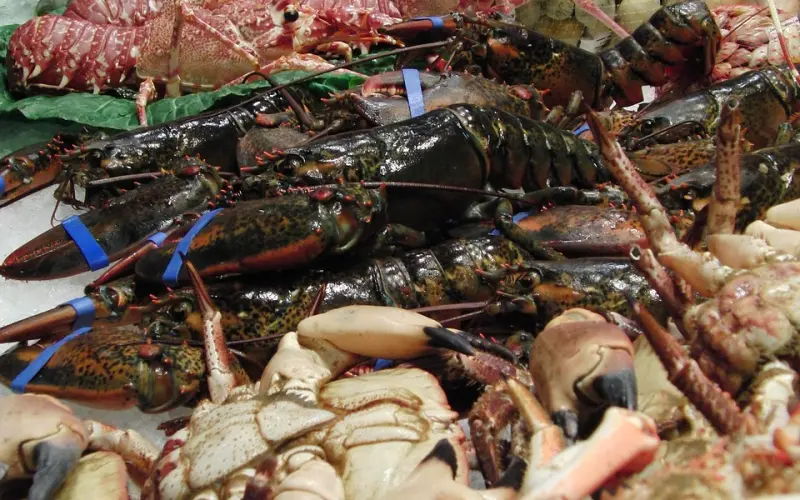 挽回巨蟹男：这样挽回巨蟹男，让他疯狂再次对你欲罢不能