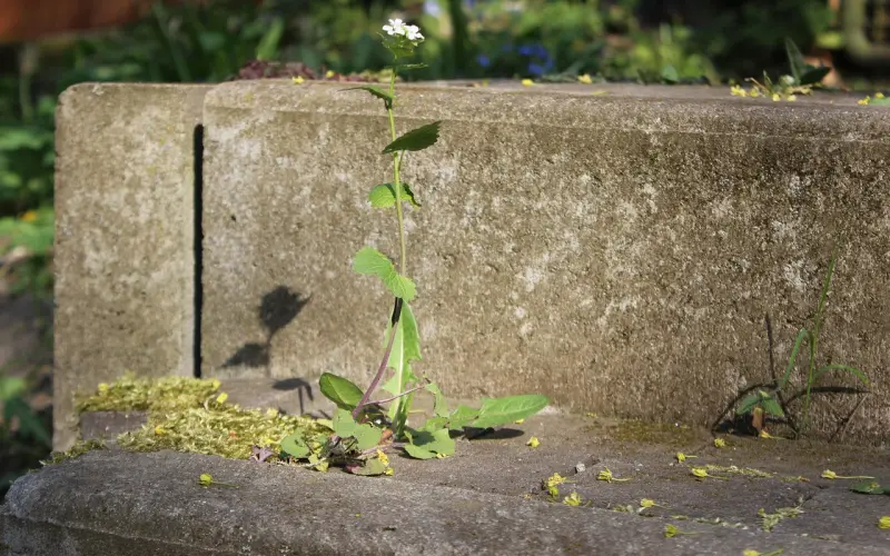 怎样挽回摩羯座：过来人手把手教你成功挽回男朋友