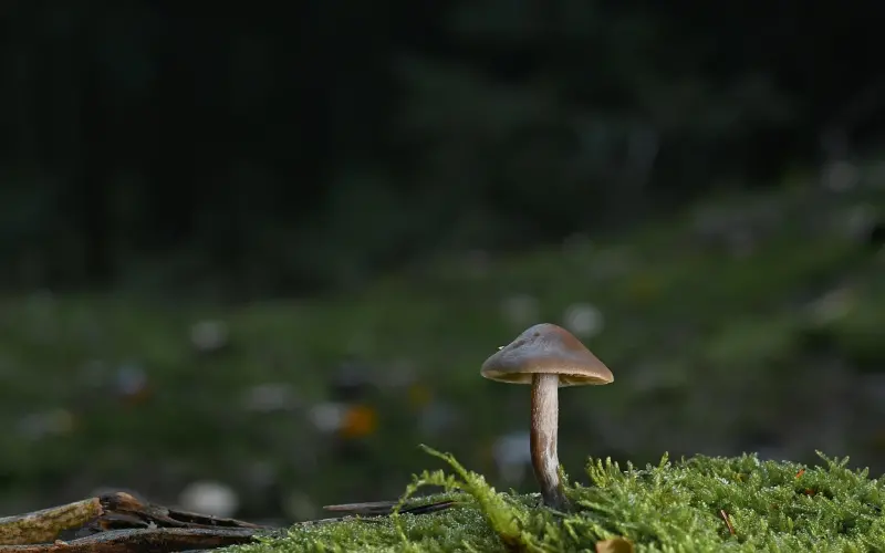 如何挽回摩羯座，提升挽回摩羯座概率，挽回摩羯座的绝招